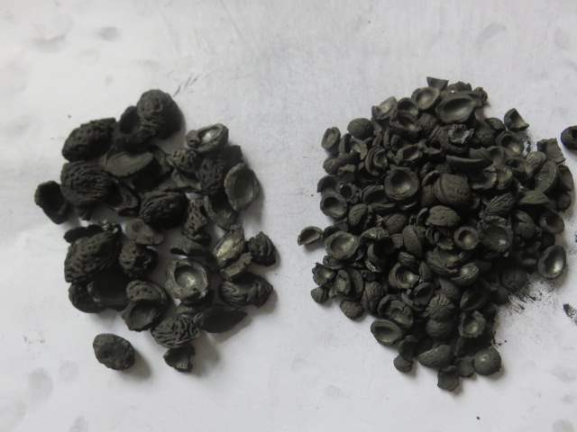 Nut Shell Based Activated carbon