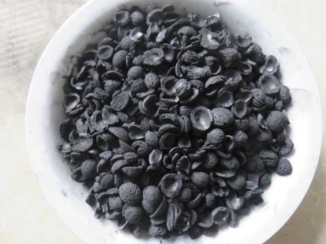 Nut Shell Based Activated carbon